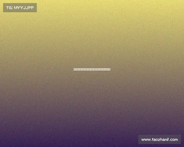 霍芬海姆足球俱乐部：德甲新兴力量的崛起与挑战分析